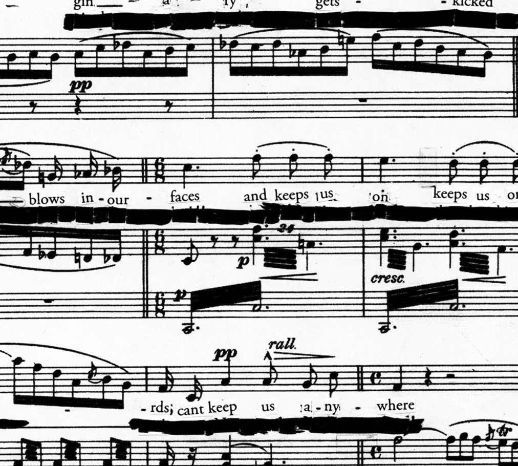 Liner Notes 1 Triple Canopy